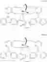 Fig. 16 - Polymerization process using bis phenolate compounds supported on organoaluminum treated layered silicate supports