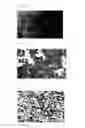 Fig. 02 - Olefin-based resin, method for producing same and propylene-based resin composition