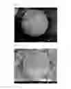 Fig. 05 - Resin particles, conductive microparticles, and anisotropic conductive material using same