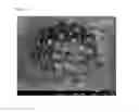 Fig. 06 - Resin particles, conductive microparticles, and anisotropic conductive material using same