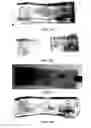 Fig. 06 - Amphoteric shape-memory polyurethane and method for preparing the same