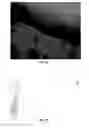 Fig. 07 - Amphoteric shape-memory polyurethane and method for preparing the same