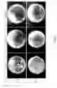 Fig. 10 - Amphoteric shape-memory polyurethane and method for preparing the same