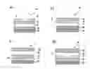 Fig. 01 - Polymeric semiconductors and related devices