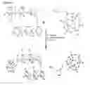 Fig. 03 - System and method for synthesis of POSS-starch derivatives as effective fillers for developing high performance composites