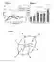 Fig. 04 - System and method for synthesis of POSS-starch derivatives as effective fillers for developing high performance composites