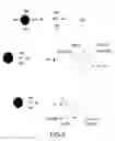 Fig. 06 - Solid state dye laser and methods for preparing the same