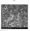 Fig. 06 - Polyolefin compositions with improved mechanical and barrier properties