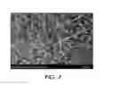 Fig. 07 - Surface layer and fuser member