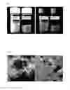 Fig. 04 - Phosphor powder and method of manufacturing the same