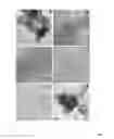 Fig. 04 - GRAPHENE QUANTUM DOT-POLYMER COMPOSITES AND METHODS OF MAKING THE SAME
