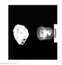 Fig. 08 - ADVANCED TISSUE ENGINEERING SYSTEM