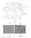 Fig. 05 - FILTRATION DEVICE AND SYSTEM