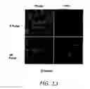 Fig. 20 - Compact subnanosecond high voltage pulse generation system for cell electro-manipulation