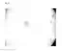 Fig. 05 - High salinity tolerant microalgae strains, products derived thereform, and methods of producing the same