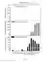 Fig. 03 - Zwitterionic-Bias Material for Blood Cell Selection and Application Thereof