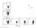 Fig. 05 - Reducing immune tolerance induced by PD-L1