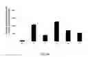Fig. 09 - Reducing immune tolerance induced by PD-L1