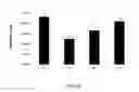Fig. 12 - Reducing immune tolerance induced by PD-L1