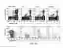 Fig. 22 - Mature dendritic cell compositions and methods for culturing same