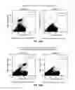 Fig. 19 - Mature dendritic cell compositions and methods for culturing same