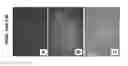 Fig. 11 - PRIMITIVE AND PROXIMAL HEPATIC STEM CELLS