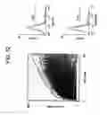 Fig. 13 - PRIMITIVE AND PROXIMAL HEPATIC STEM CELLS