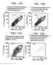 Fig. 18 - PRIMITIVE AND PROXIMAL HEPATIC STEM CELLS