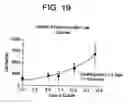 Fig. 21 - PRIMITIVE AND PROXIMAL HEPATIC STEM CELLS