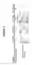 Fig. 06 - Method for cell culture