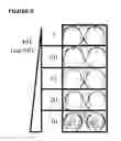 Fig. 09 - Method for cell culture