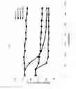Fig. 03 - Polymerase compositions and kits, and methods of using and making the same