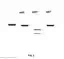 Fig. 05 - TRANSGENIC NUCLEASE SYSTEMS AND METHODS