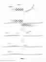 Fig. 06 - TRANSGENIC NUCLEASE SYSTEMS AND METHODS
