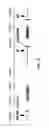 Fig. 16 - TRANSGENIC NUCLEASE SYSTEMS AND METHODS