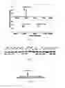 Fig. 03 - Polypeptide having protease activity and methods for increasing its activity thereof