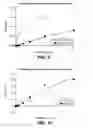 Fig. 06 - SERINE PROTEASES OF BACILLUS SPECIES