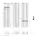 Fig. 02 - COAGULATION FACTOR VII POLYPEPTIDES