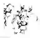 Fig. 05 - COAGULATION FACTOR VII POLYPEPTIDES
