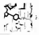 Fig. 06 - COAGULATION FACTOR VII POLYPEPTIDES