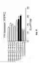 Fig. 10 - COAGULATION FACTOR VII POLYPEPTIDES