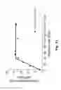 Fig. 13 - COAGULATION FACTOR VII POLYPEPTIDES
