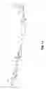 Fig. 17 - COAGULATION FACTOR VII POLYPEPTIDES