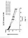 Fig. 19 - COAGULATION FACTOR VII POLYPEPTIDES