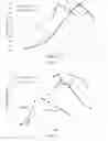 Fig. 11 - THERMOSTABLE ALGINATE DEGRADING ENZYMES AND THEIR METHODS OF USE