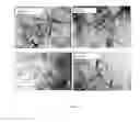 Fig. 03 - PROCESSES FOR PREPARING SILICA-CARBON ALLOTROPE COMPOSITE MATERIALS AND USING SAME