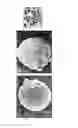 Fig. 04 - PROCESSES FOR PREPARING SILICA-CARBON ALLOTROPE COMPOSITE MATERIALS AND USING SAME