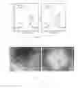 Fig. 06 - PROCESSES FOR PREPARING SILICA-CARBON ALLOTROPE COMPOSITE MATERIALS AND USING SAME