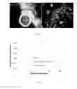 Fig. 07 - PROCESSES FOR PREPARING SILICA-CARBON ALLOTROPE COMPOSITE MATERIALS AND USING SAME
