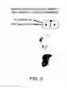 Fig. 06 - INHIBITING GENE EXPRESSION WITH dsRNA